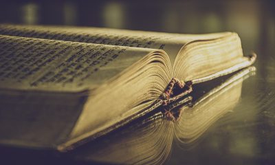 我的世界pcl设置页面，展示Java路径配置、内存滑块调节与JVM参数输入区，界面简洁易用